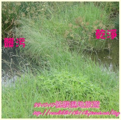 水.jpg