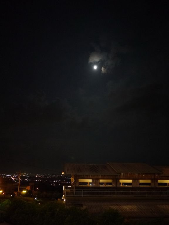 P1090263.jpg