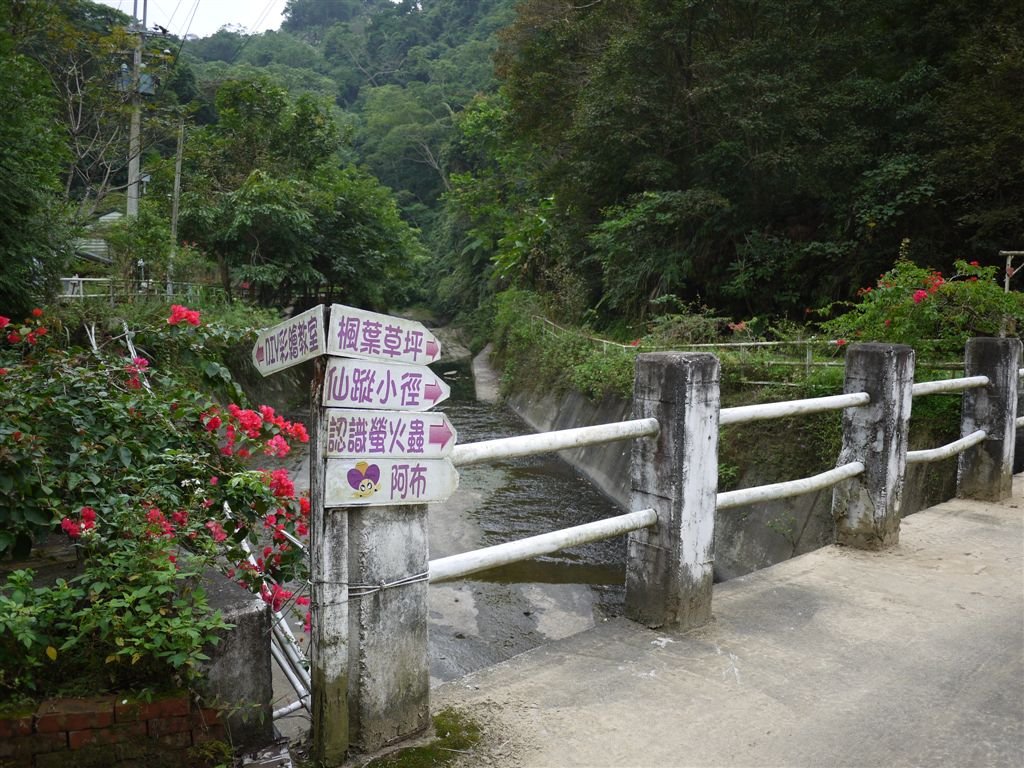 P1120703.JPG