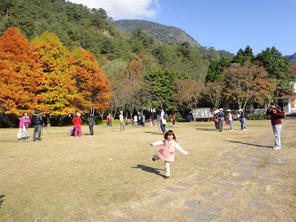 DSC02373.JPG
