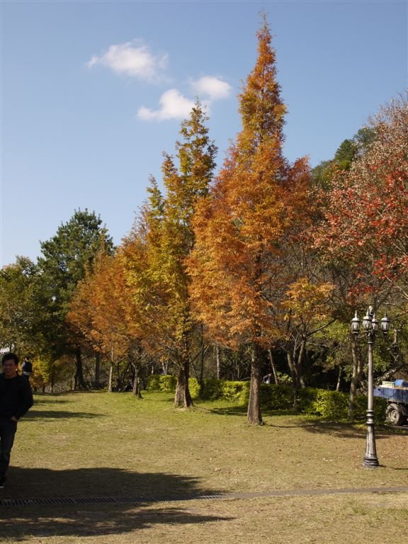 P1140548.JPG