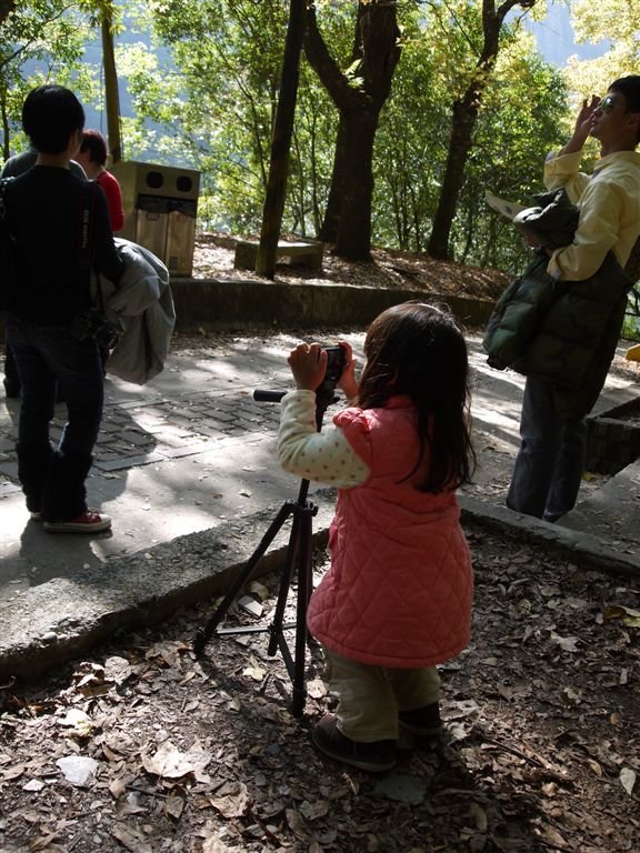 P1140553.JPG