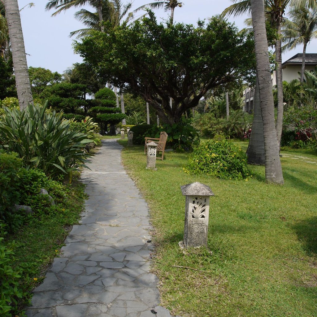 P1180432.JPG