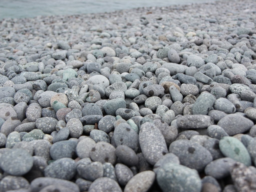 IMG_6311.JPG