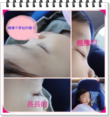 睫毛.jpg