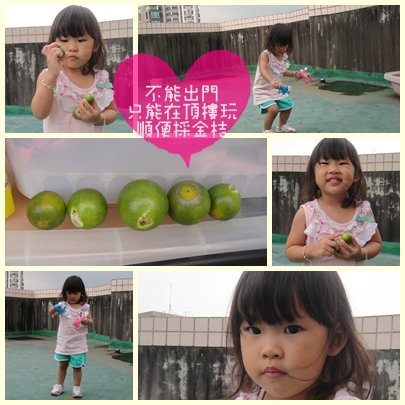 頂樓.jpg