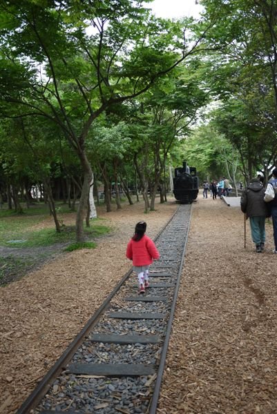 P1020251.JPG