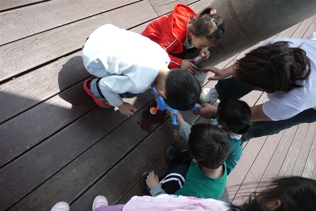 P1020453.JPG