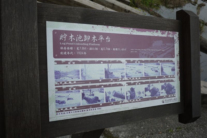 P1020253.JPG