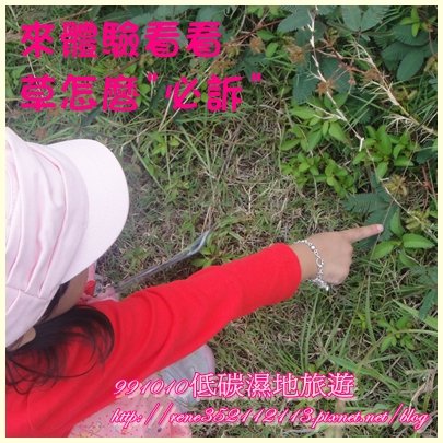 體驗.jpg