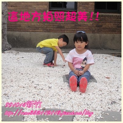 珊瑚.jpg