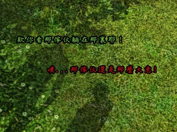 176.jpg