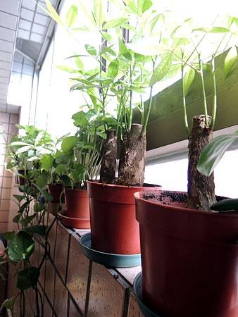 DSCN0377