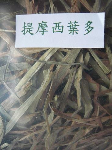 提摩西1.JPG