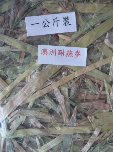 甜燕麥1.JPG