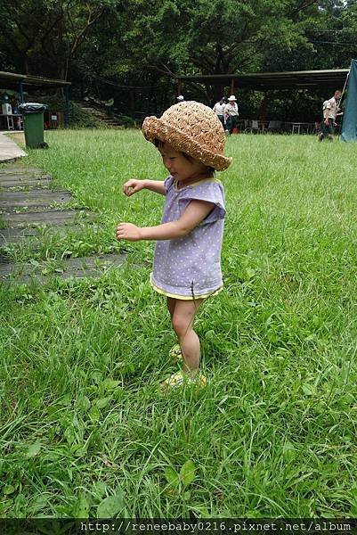 照片 068.jpg