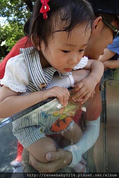 照片 270.jpg