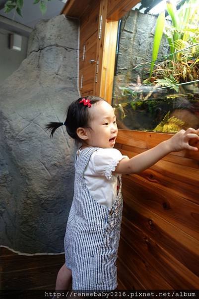 照片 289.jpg