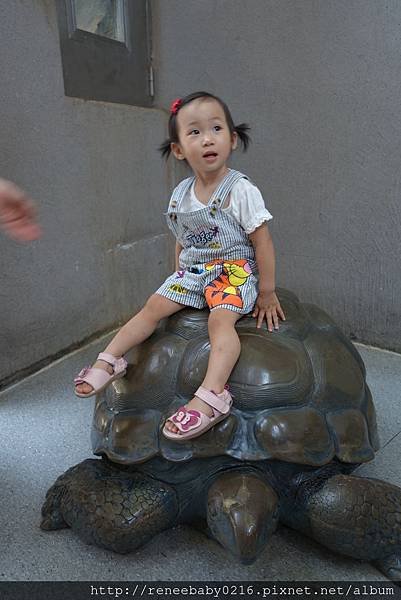 照片 293.jpg