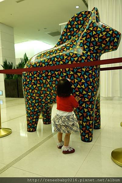 DSC08681.JPG