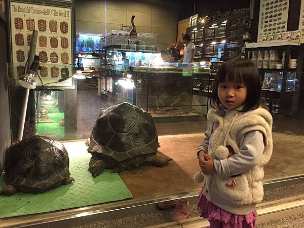2014-12-03 21.05.40.jpg