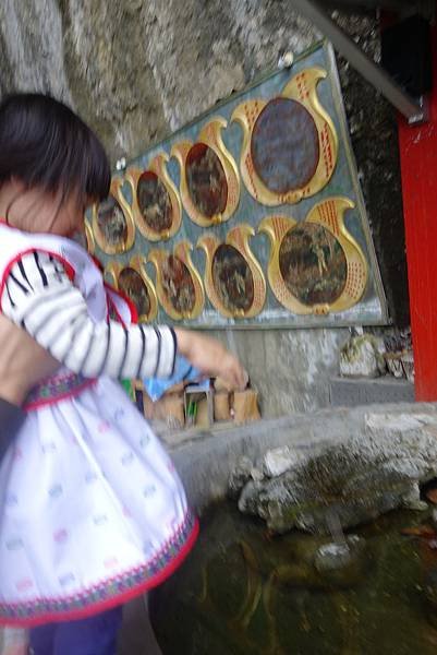 DSC07606.JPG