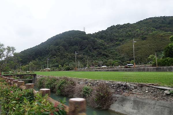 DSC07801.JPG