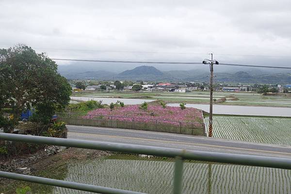 DSC07805.JPG