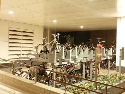 P1110344.jpg