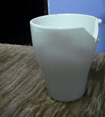 P1110524.jpg
