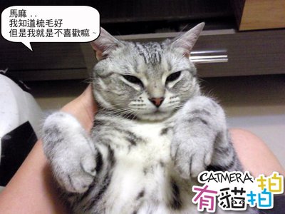 相片0119 複製.JPG