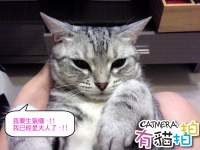 相片0117 複製.JPG
