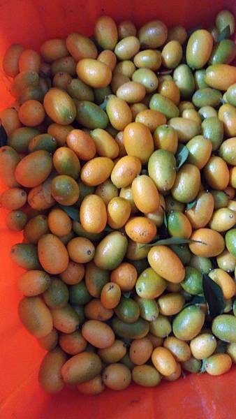P_20171118_085624_vHDR_On.jpg