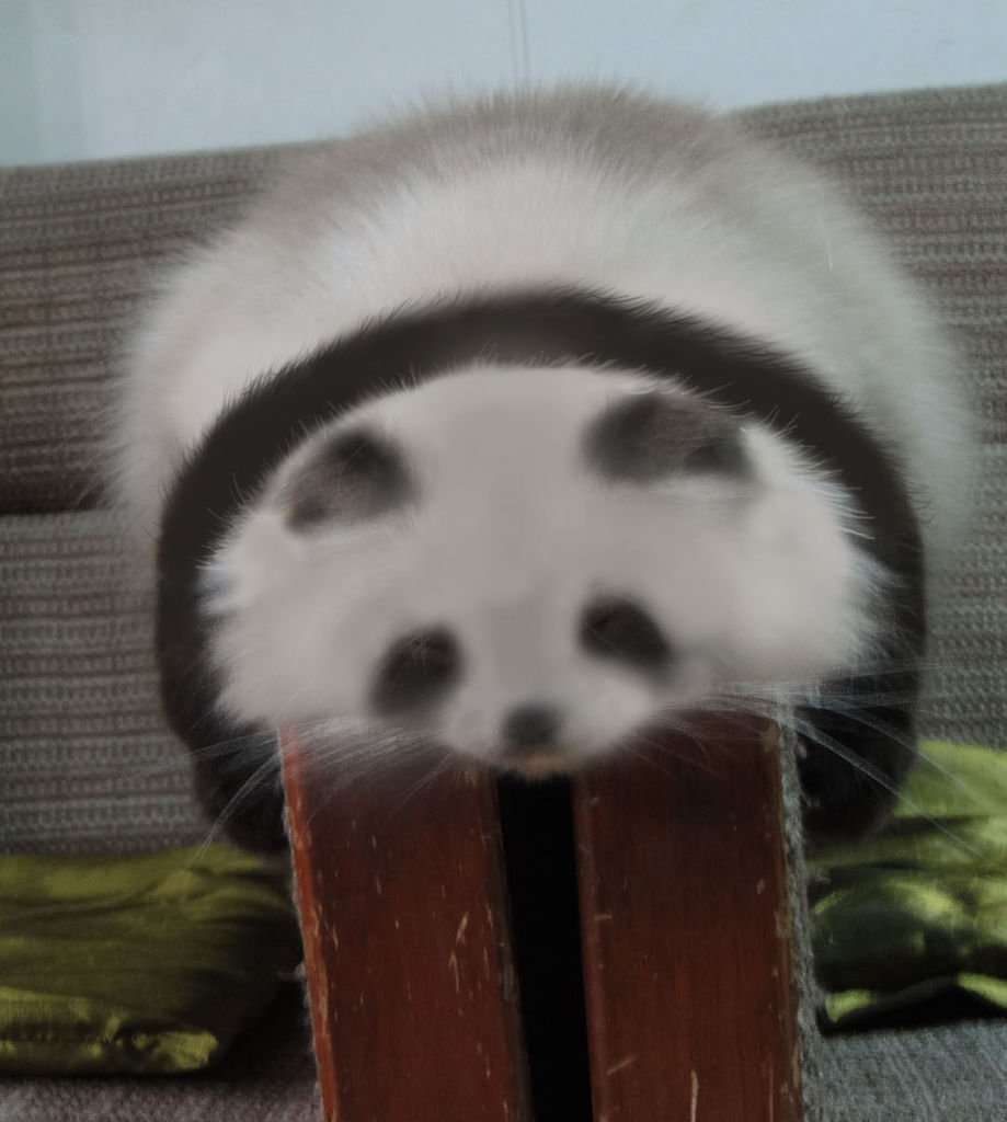 panda拷貝~.jpg