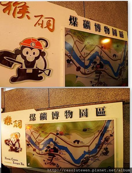 貓23.jpg