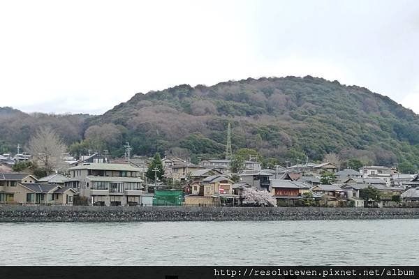 DAY3-宇治.平等院.中村藤吉10