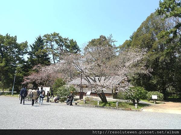 DAY5-京都御苑11