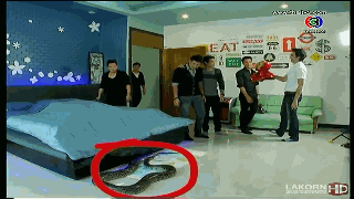53ee63ec54e736d11c2ff31499504fc2d46269ca.gif