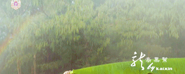 7bb28022720e0cf35a5ad6a90e46f21fbf09aa10.jpg.gif