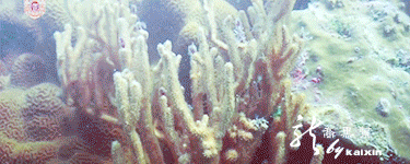 468ec5c451da81cb379c73905666d01608243151.gif