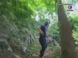 007.gif