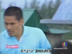 c6696d2fd06b5f221f3089f2.jpg