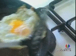 31b4fff49184c3f47609d738.jpg