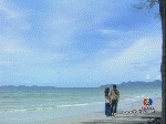 1109c929e8dbe8e599250a05.jpg