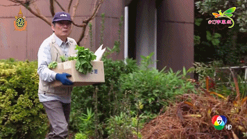 255899040.gif