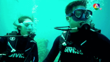 p8zdfp7k4Zr43amytNG-o.gif