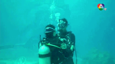 p8zdfwwls2VSFKXt0KK-o.gif
