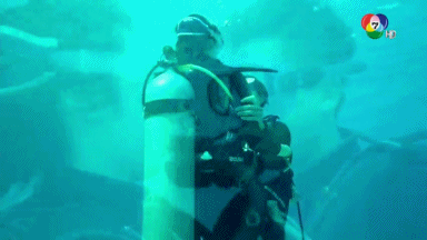 p8zdgbwjyxGiMAceUY6-o.gif