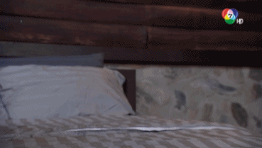 p9p9xfm3zXhIaqTECPF-o.gif