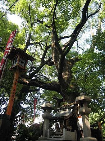 IMG_5073.jpg